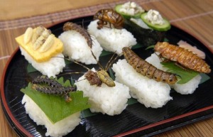 Sushi-de-insectos
